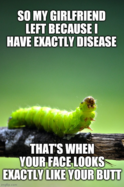 Exactly disease | SO MY GIRLFRIEND LEFT BECAUSE I HAVE EXACTLY DISEASE; THAT'S WHEN YOUR FACE LOOKS EXACTLY LIKE YOUR BUTT | image tagged in ugly,disease,girlfriend,breakup | made w/ Imgflip meme maker