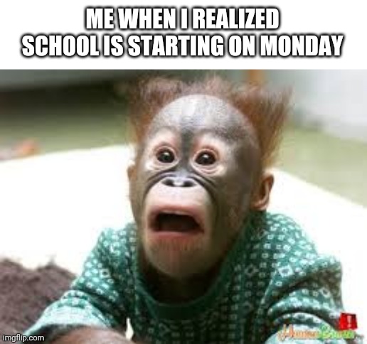 Shocked face | ME WHEN I REALIZED SCHOOL IS STARTING ON MONDAY | image tagged in shocked face,school | made w/ Imgflip meme maker