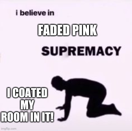 My kitchen is coated in blood red. | FADED PINK; I COATED MY ROOM IN IT! | image tagged in i believe in supremacy,just a touch of pink | made w/ Imgflip meme maker