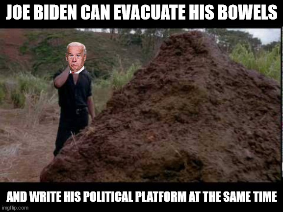 That's a huge pile of ... | JOE BIDEN CAN EVACUATE HIS BOWELS; AND WRITE HIS POLITICAL PLATFORM AT THE SAME TIME | image tagged in that's a huge pile of shit,biden,politics | made w/ Imgflip meme maker