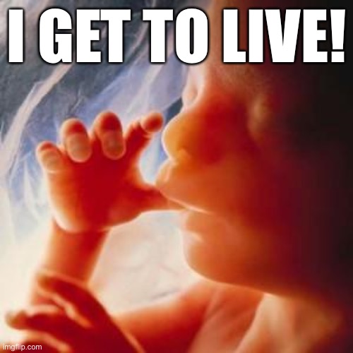 Fetus | I GET TO LIVE! | image tagged in fetus | made w/ Imgflip meme maker