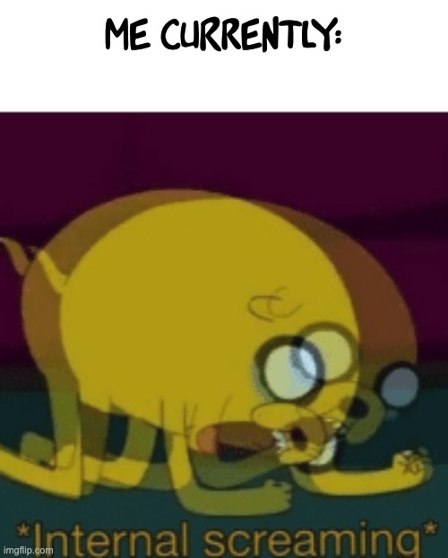 Jake The Dog Internal Screaming | Me currently: | image tagged in jake the dog internal screaming | made w/ Imgflip meme maker