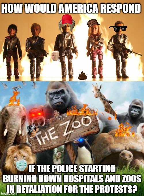 With how much we take it out on the wrong people these days... | HOW WOULD AMERICA RESPOND; IF THE POLICE STARTING BURNING DOWN HOSPITALS AND ZOOS IN RETALIATION FOR THE PROTESTS? | image tagged in team america,zoo week,riots,police state,fire,hospital | made w/ Imgflip meme maker