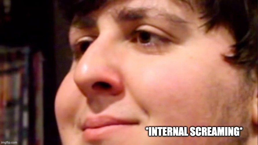 Jontron internal screaming | *INTERNAL SCREAMING* | image tagged in jontron internal screaming | made w/ Imgflip meme maker