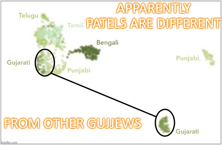 Apparently Patels are different from other Gujjews | APPARENTLY PATELS ARE DIFFERENT; FROM OTHER GUJJEWS | image tagged in gujarati patels | made w/ Imgflip meme maker