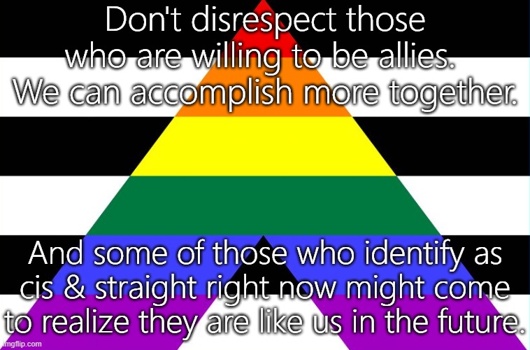 Give them a chance. | Don't disrespect those who are willing to be allies.  We can accomplish more together. And some of those who identify as cis & straight right now might come to realize they are like us in the future. | image tagged in straight ally flag,trust,unity,lgbt | made w/ Imgflip meme maker