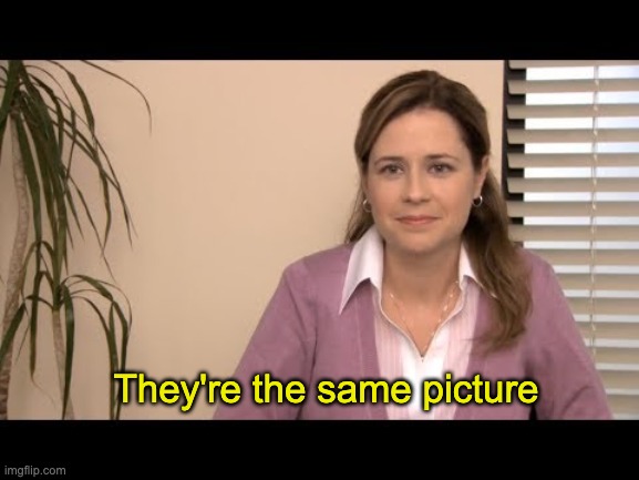 They're the same picture | They're the same picture | image tagged in they're the same picture | made w/ Imgflip meme maker