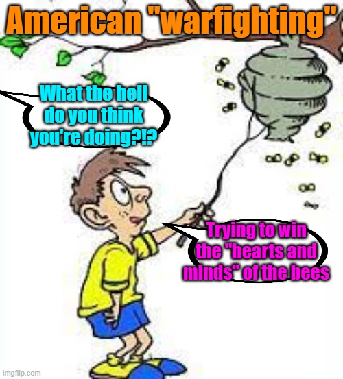 Works every time it's tried | American "warfighting"; What the hell do you think you're doing?!? Trying to win the "hearts and minds" of the bees | image tagged in maga,special kind of stupid,political meme | made w/ Imgflip meme maker
