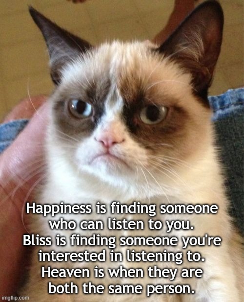 Listening Heaven | Happiness is finding someone
who can listen to you.
Bliss is finding someone you're
interested in listening to.
Heaven is when they are
both the same person. | image tagged in memes,grumpy cat | made w/ Imgflip meme maker