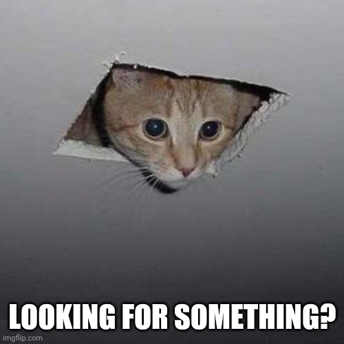 Ceiling Cat Meme | LOOKING FOR SOMETHING? | image tagged in memes,ceiling cat | made w/ Imgflip meme maker