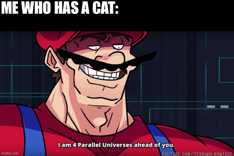 I am 4 parallel universes is ahead of you | ME WHO HAS A CAT: | image tagged in i am 4 parallel universes is ahead of you | made w/ Imgflip meme maker