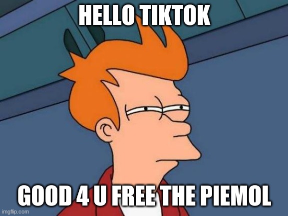 Futurama Fry | HELLO TIKTOK; GOOD 4 U FREE THE PIEMOL | image tagged in memes,futurama fry | made w/ Imgflip meme maker