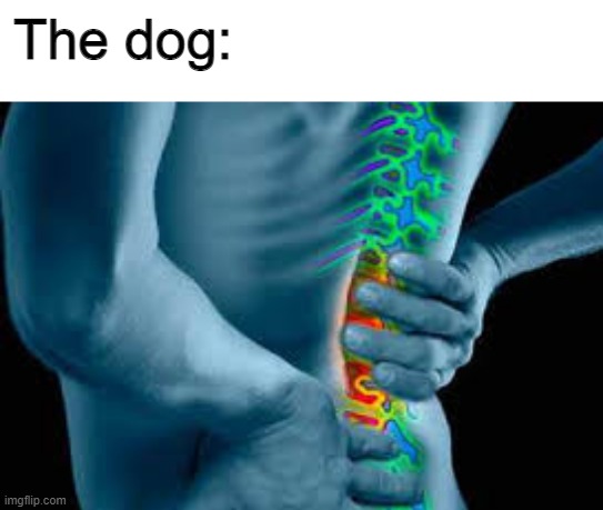 back pain | The dog: | image tagged in back pain | made w/ Imgflip meme maker