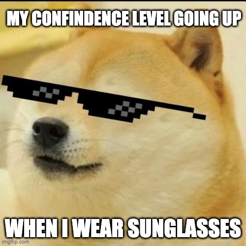 Confidence level going up introvert | MY CONFINDENCE LEVEL GOING UP; WHEN I WEAR SUNGLASSES | image tagged in sunglass doge | made w/ Imgflip meme maker