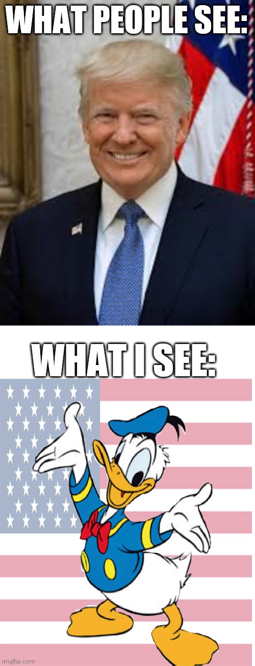 Donald trump(or tva variants maybe) | WHAT PEOPLE SEE:; WHAT I SEE: | image tagged in blank white template,donald trump,memes,funny memes | made w/ Imgflip meme maker