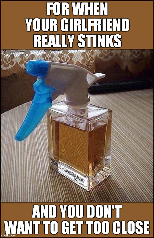 Risky Behaviour ? | FOR WHEN YOUR GIRLFRIEND REALLY STINKS; AND YOU DON'T WANT TO GET TOO CLOSE | image tagged in smelly,perfume,spray | made w/ Imgflip meme maker
