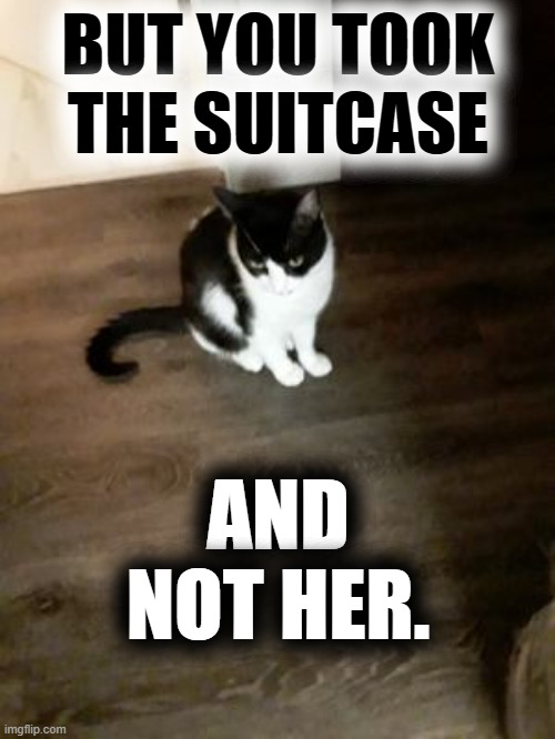 BUT YOU TOOK THE SUITCASE AND NOT HER. | made w/ Imgflip meme maker
