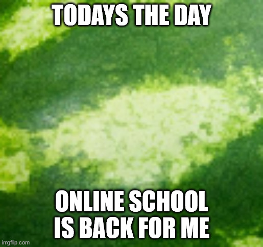 MELON BACKROUND | TODAYS THE DAY; ONLINE SCHOOL IS BACK FOR ME | image tagged in melon backround | made w/ Imgflip meme maker
