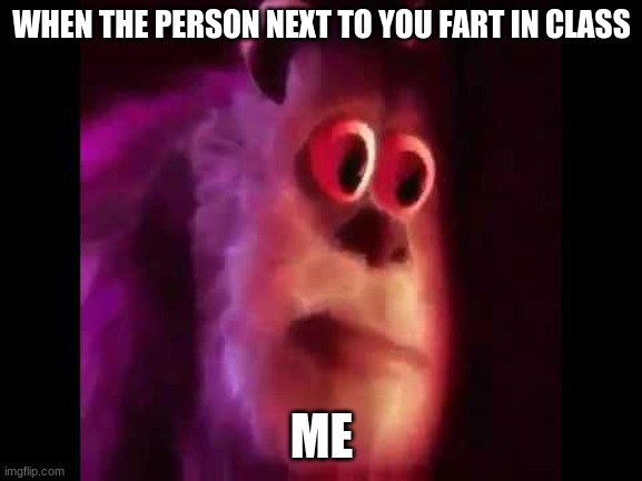 Sully Groan | WHEN THE PERSON NEXT TO YOU FART IN CLASS; ME | image tagged in sully groan,farts,funny memes,memes | made w/ Imgflip meme maker
