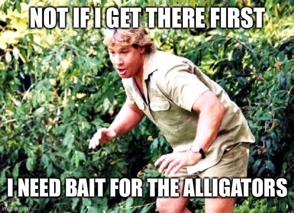 Crocodile Hunter Steve Irwin | NOT IF I GET THERE FIRST I NEED BAIT FOR THE ALLIGATORS | image tagged in crocodile hunter steve irwin | made w/ Imgflip meme maker