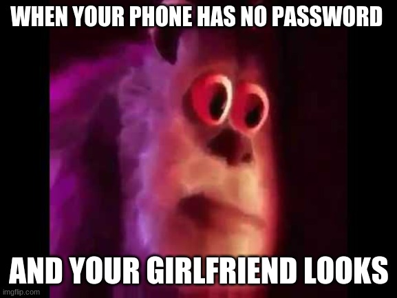 Sully Groan | WHEN YOUR PHONE HAS NO PASSWORD; AND YOUR GIRLFRIEND LOOKS | image tagged in sully groan | made w/ Imgflip meme maker