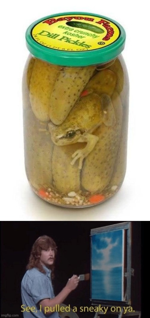 Pickled frog | image tagged in i pulled a sneaky,memes,meme,pickles,pickle,frog | made w/ Imgflip meme maker