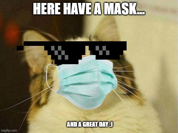 Here have a mask :) | HERE HAVE A MASK... AND A GREAT DAY :) | image tagged in cat,mask,good day | made w/ Imgflip meme maker