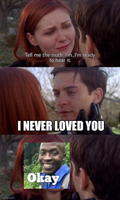 Tell me the truth, I'm ready to hear it |  I NEVER LOVED YOU | image tagged in tell me the truth i'm ready to hear it | made w/ Imgflip meme maker