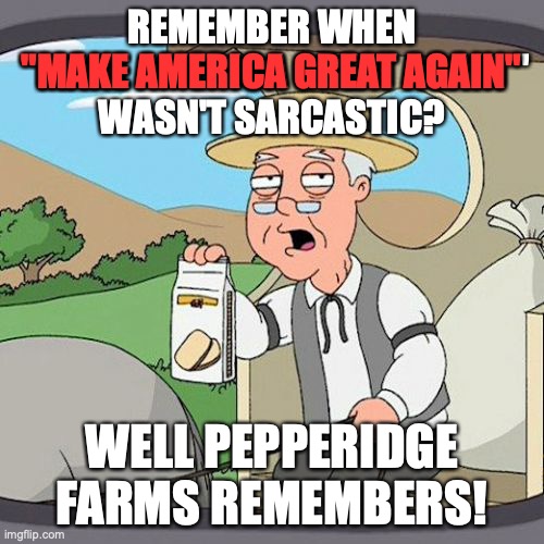 Pepperidge Farm Remembers | REMEMBER WHEN
 "MAKE AMERICA GREAT AGAIN "
WASN'T SARCASTIC? "MAKE AMERICA GREAT AGAIN"; WELL PEPPERIDGE FARMS REMEMBERS! | image tagged in memes,pepperidge farm remembers | made w/ Imgflip meme maker