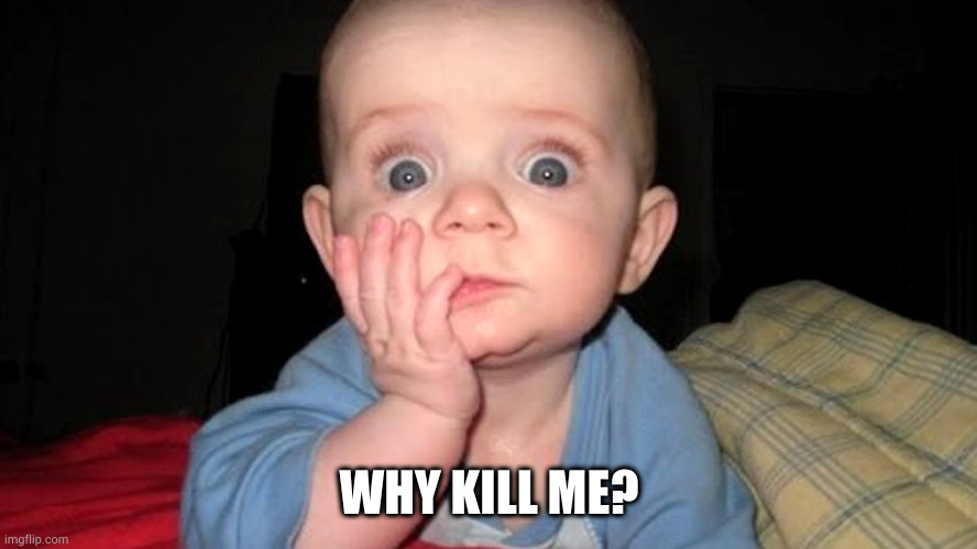 surprised baby | WHY KILL ME? | image tagged in surprised baby | made w/ Imgflip meme maker