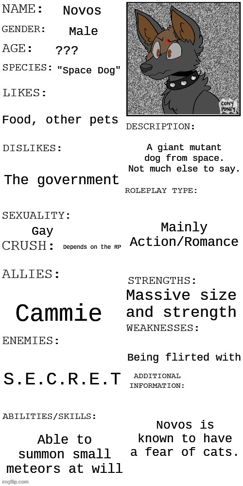 Ah, yes, because I'd rather make a showcase for Novos than Cammie. | Novos; Male; ??? "Space Dog"; Food, other pets; A giant mutant dog from space. Not much else to say. The government; Mainly Action/Romance; Gay; Depends on the RP; Massive size and strength; Cammie; Being flirted with; S.E.C.R.E.T; Novos is known to have a fear of cats. Able to summon small meteors at will | image tagged in updated roleplay oc showcase | made w/ Imgflip meme maker