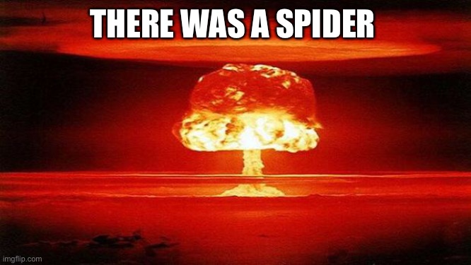 Atomic Bomb | THERE WAS A SPIDER | image tagged in atomic bomb | made w/ Imgflip meme maker