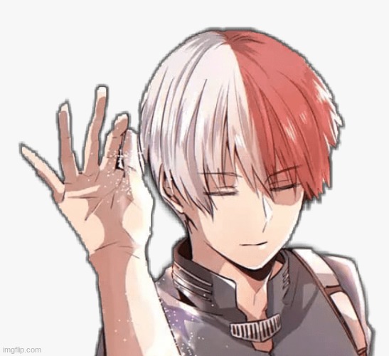 todoroki salt | image tagged in todoroki salt | made w/ Imgflip meme maker