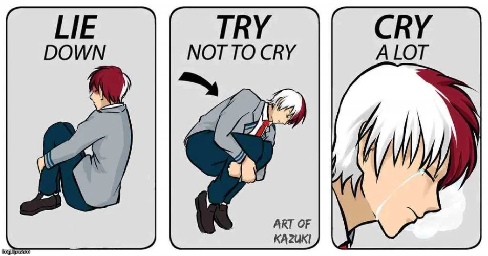 todoroki try not to cry | image tagged in todoroki try not to cry | made w/ Imgflip meme maker