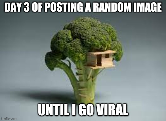 Day 3 | DAY 3 OF POSTING A RANDOM IMAGE; UNTIL I GO VIRAL | image tagged in image,guy goes to insert text here | made w/ Imgflip meme maker