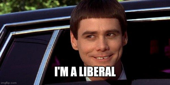 dumb and dumber | I'M A LIBERAL | image tagged in dumb and dumber | made w/ Imgflip meme maker