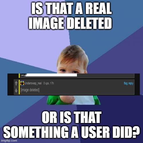 Success Kid Meme | IS THAT A REAL IMAGE DELETED; OR IS THAT SOMETHING A USER DID? | image tagged in memes,success kid | made w/ Imgflip meme maker