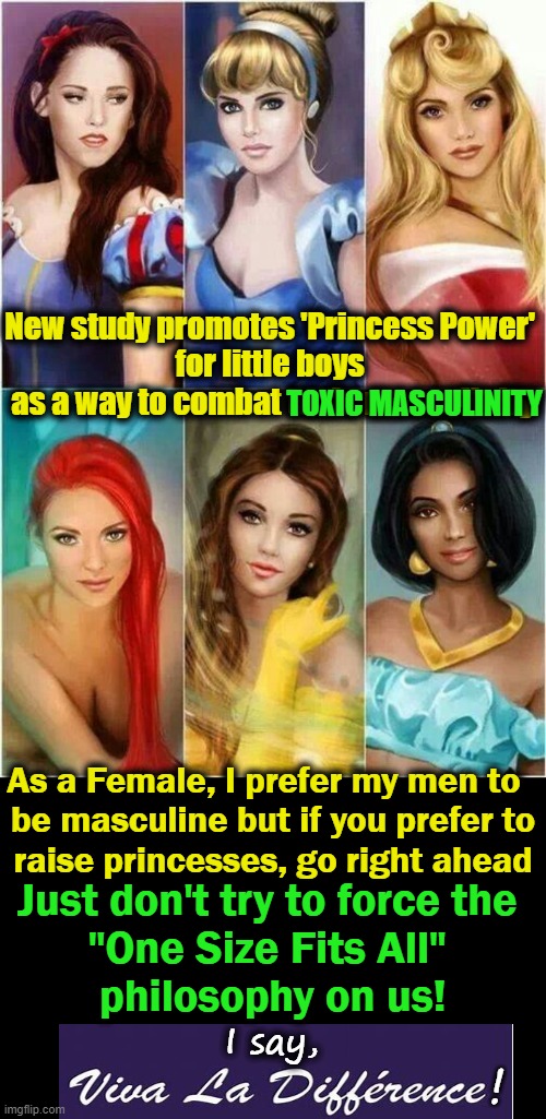 A Brigham Young University professor who was not toxically masculine led the research | New study promotes 'Princess Power' 
for little boys 
as a way to combat toxic masculinity; TOXIC MASCULINITY; As a Female, I prefer my men to  
be masculine but if you prefer to
raise princesses, go right ahead; Just don't try to force the 
"One Size Fits All" 
philosophy on us! I say, ! | image tagged in politics,male female,toxic masculinity,disney princesses,boys girls | made w/ Imgflip meme maker