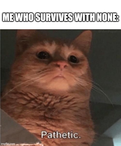 Pathetic Cat | ME WHO SURVIVES WITH NONE: | image tagged in pathetic cat | made w/ Imgflip meme maker