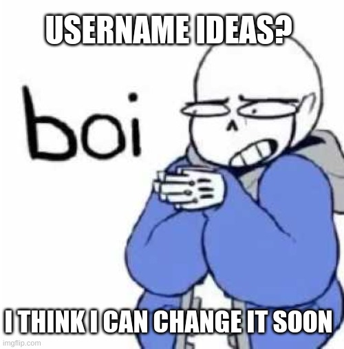 boi | USERNAME IDEAS? I THINK I CAN CHANGE IT SOON | image tagged in boi | made w/ Imgflip meme maker