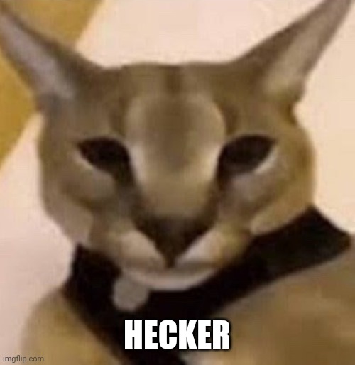 HECKER | made w/ Imgflip meme maker