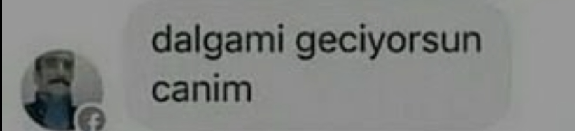 High Quality dalga mi geciyorsun canim Blank Meme Template