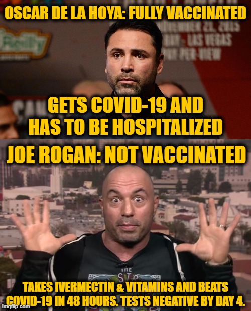 Respect Other’s Decisions Whether or not they Wish to be Vaccinated, and Move On | OSCAR DE LA HOYA: FULLY VACCINATED; GETS COVID-19 AND HAS TO BE HOSPITALIZED; JOE ROGAN: NOT VACCINATED; TAKES IVERMECTIN & VITAMINS AND BEATS COVID-19 IN 48 HOURS. TESTS NEGATIVE BY DAY 4. | image tagged in joe rogan | made w/ Imgflip meme maker