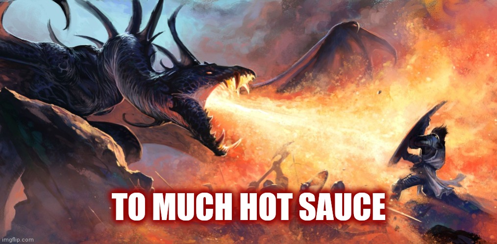 Dragon breath | TO MUCH HOT SAUCE | image tagged in dragon breath | made w/ Imgflip meme maker