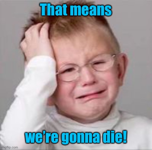 Sad Crying Child | That means we’re gonna die! | image tagged in sad crying child | made w/ Imgflip meme maker