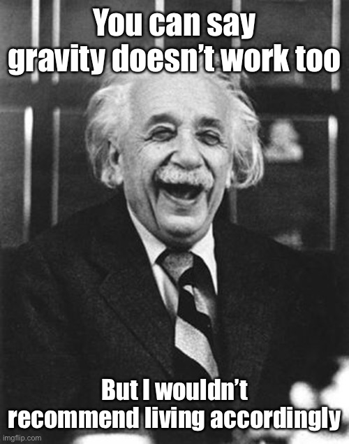 Einstein laugh | You can say gravity doesn’t work too But I wouldn’t recommend living accordingly | image tagged in einstein laugh | made w/ Imgflip meme maker