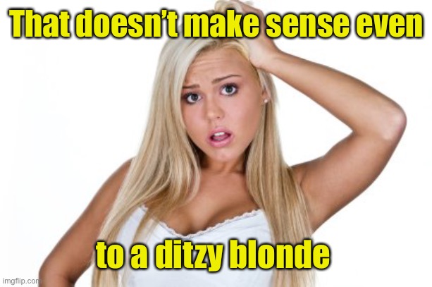 Dumb Blonde | That doesn’t make sense even to a ditzy blonde | image tagged in dumb blonde | made w/ Imgflip meme maker