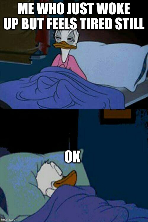 sleepy donald duck in bed | ME WHO JUST WOKE UP BUT FEELS TIRED STILL OK | image tagged in sleepy donald duck in bed | made w/ Imgflip meme maker