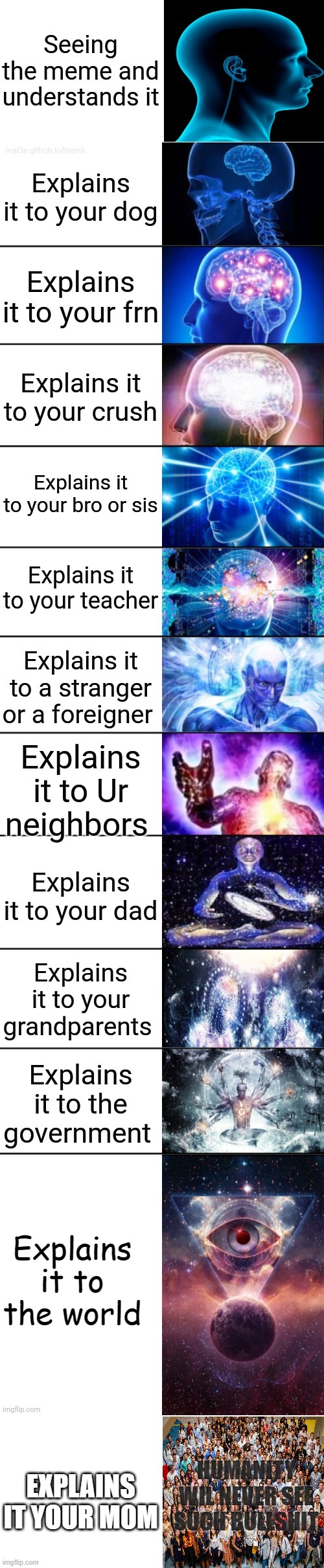 PAIN OF EXPLAINING MEMES | Explains it to the world; EXPLAINS IT YOUR MOM; HUMANITY WIL NEVER SEE SUCH BULLSHIT | image tagged in blank white template,funny memes,meme,memes | made w/ Imgflip meme maker