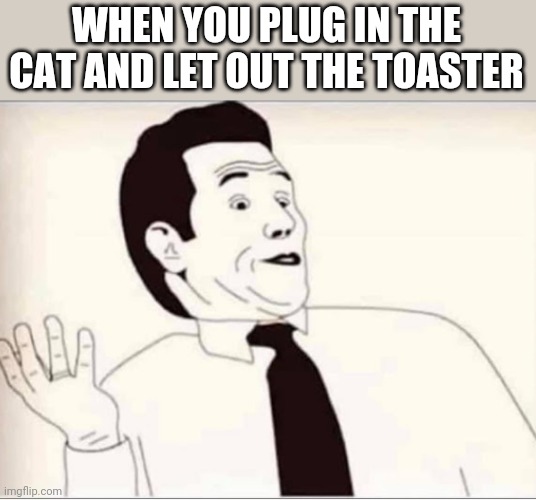 I didnt know | WHEN YOU PLUG IN THE CAT AND LET OUT THE TOASTER | image tagged in i didnt know | made w/ Imgflip meme maker